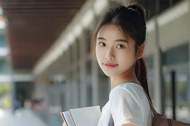 293分可以上什么大学
